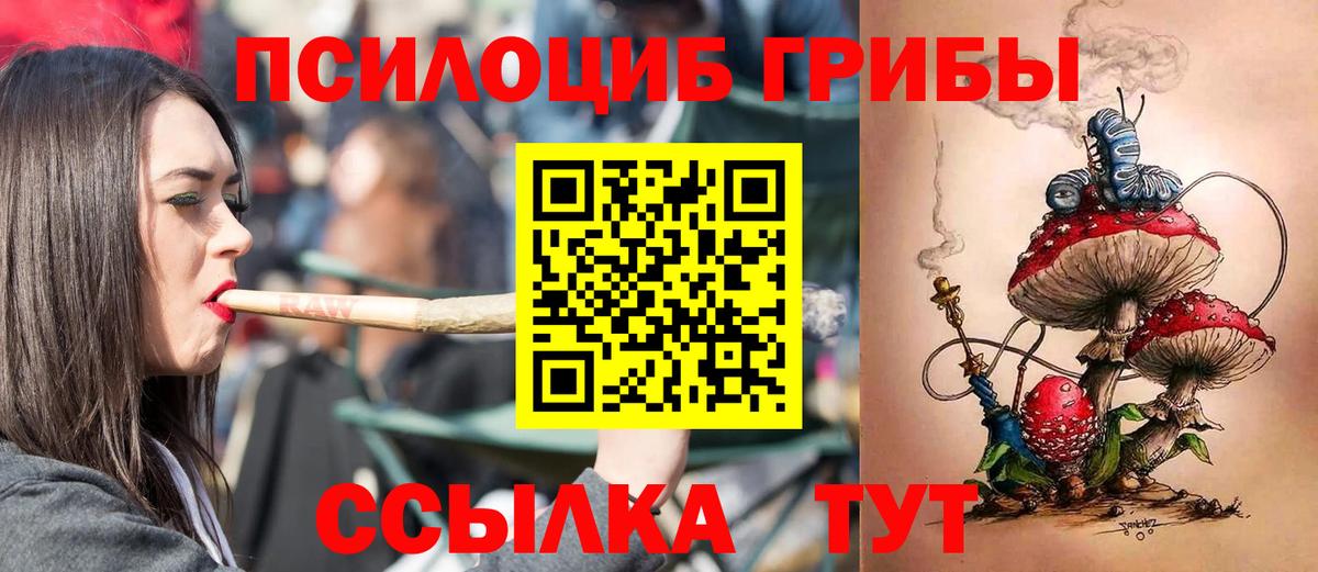 Павлово  где найти наркотики  Вход с VPN  Галлюциногенные грибы прущие грибы 